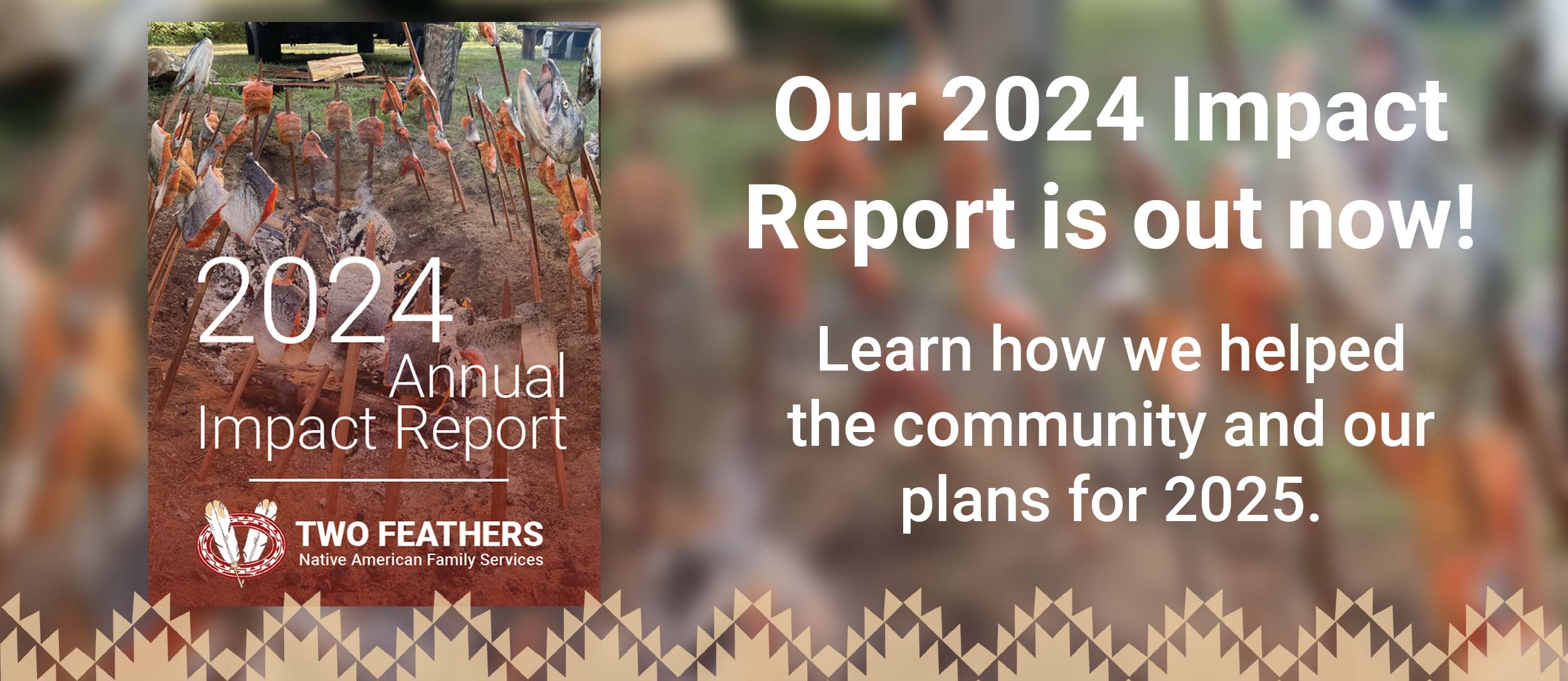 A banner highlighting the 2024 impact report